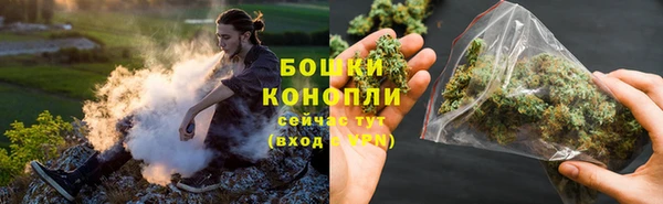 молекула духа Белокуриха