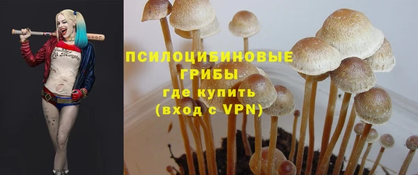 молекула духа Белокуриха