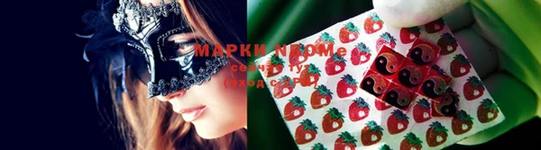 молекула духа Белокуриха